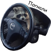 Енот Тёма