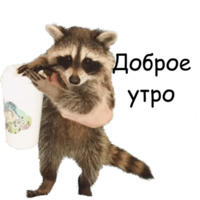 Енот Тёма