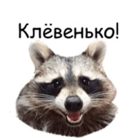 Енот Тёма