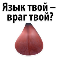 День радио