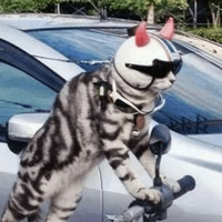 Кайфарики