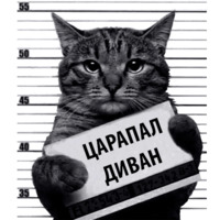 Набор стикеров Кот Рецидивист
