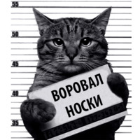 Кот Рецидивист
