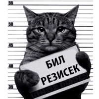Кот Рецидивист