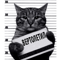 Кот Рецидивист