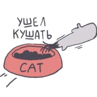 Енот Толик