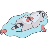 Енот Толик