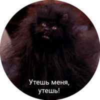 Кот Салем