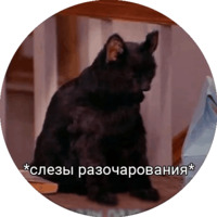 Кот Салем
