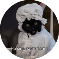 Кот Салем