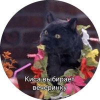 Кот Салем