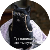 Кот Салем