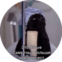 Кот Салем