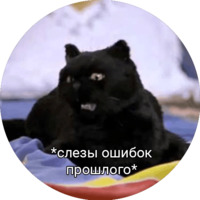 Кот Салем