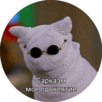 Кот Салем