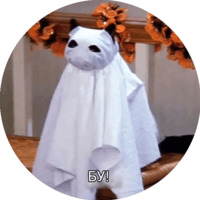 Кот Салем