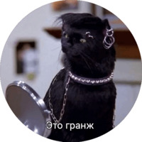 Кот Салем