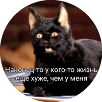 Кот Салем