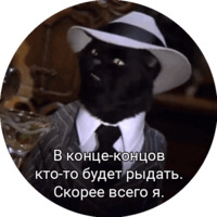 Кот Салем
