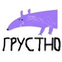 Schte