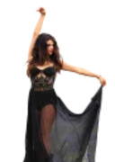 selenators