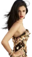 selenators