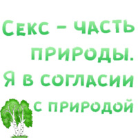 Секс в большом городе