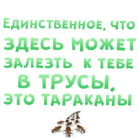 Секс в большом городе