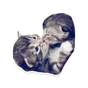 Sexy Animals