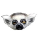 Sexy Animals