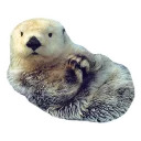 Sexy Animals