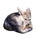 Sexy Animals