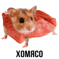 Шлакоблокунь и друзья