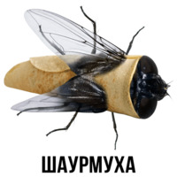 Шлакоблокунь и друзья