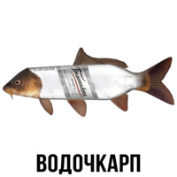 Шлакоблокунь и друзья