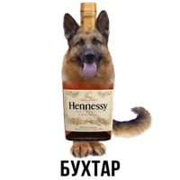 Шлакоблокунь и друзья