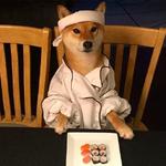 shiba inu stickerpack
