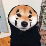 shiba inu stickerpack