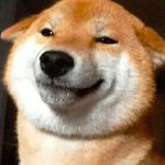 shiba inu stickerpack