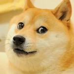 shiba inu stickerpack