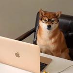 shiba inu stickerpack