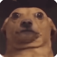 Животные