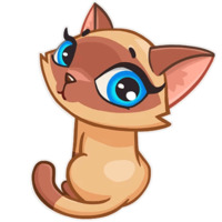 Сиамская кошечка