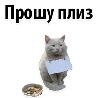 Подпишись, пожалуйста