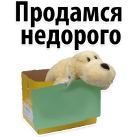 Подпишись, пожалуйста
