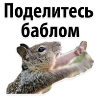 Подпишись, пожалуйста