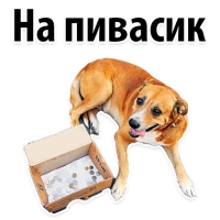 Подпишись, пожалуйста