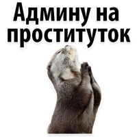 Подпишись, пожалуйста