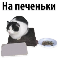 Подпишись, пожалуйста