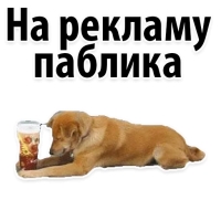 Подпишись, пожалуйста